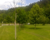 kosenje,-vzdrzevanje-zelenice.jpg