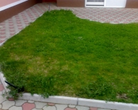 ureditev-zelenice-okoli-hise.jpg