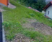 ureditev-zelenice-okoli-hise1.jpg
