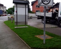 ureditev--zelenice.jpg