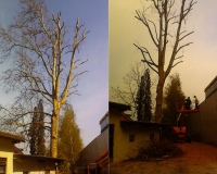 obzagovanje.jpg