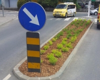 zasaditev-v-kriziscu.jpg