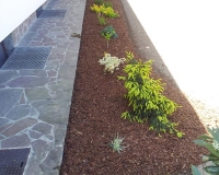 zasaditve-okoli-hise1.jpg